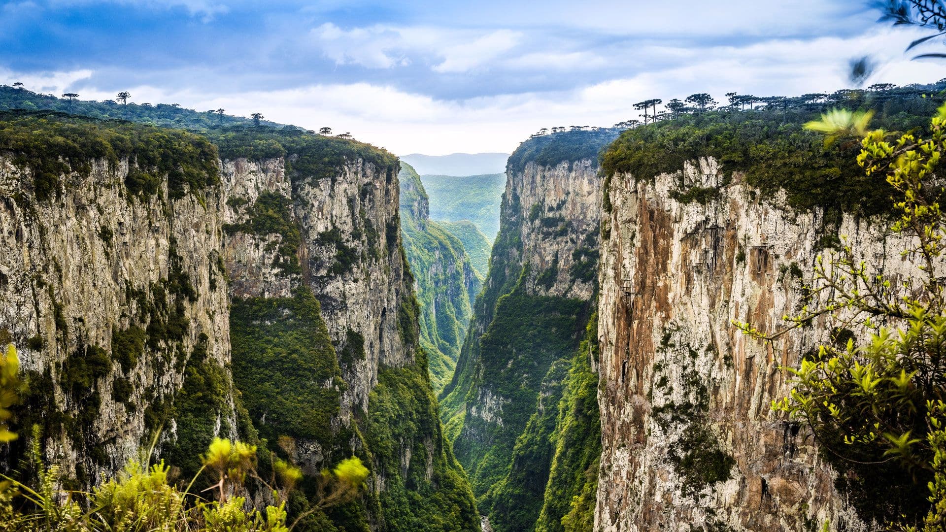 Parques de Aparados da Serra e Serra Geral protagonizam campanha solidária pelo RS com desconto em ingressos